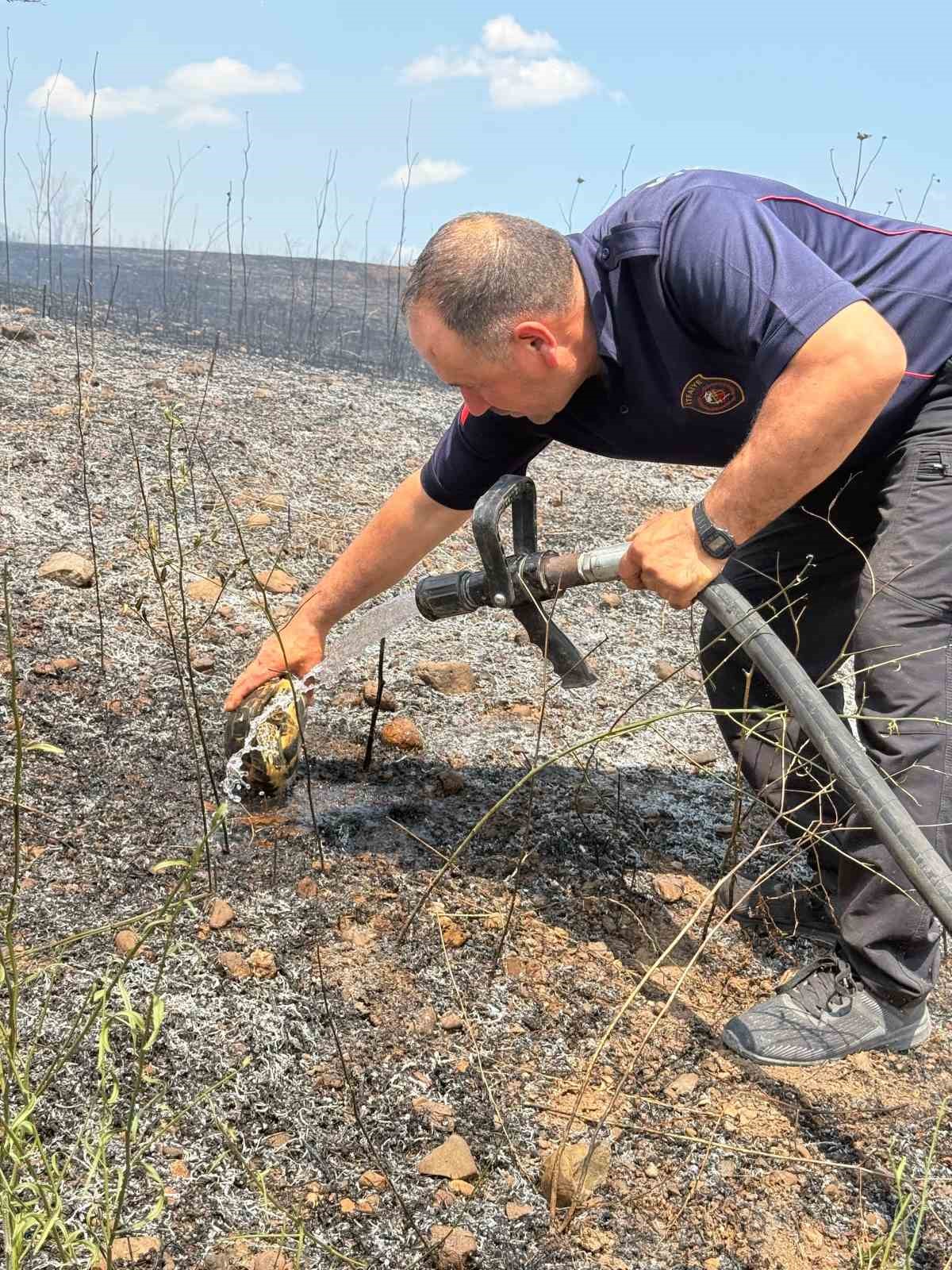yanginin-ortasinda-kalan-kaplumbagayi-suyla-serinlettiler