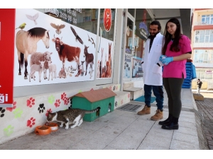 Veteriner Çiftten Örnek Davranış