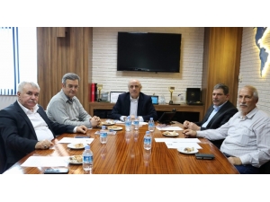 "Zeytinyağına Bariyer Koymak Doğru Değil"