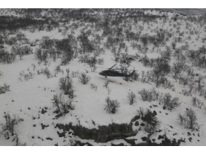 Skorskyler Bu Kez Yaban Hayvanları İçin Havalandı