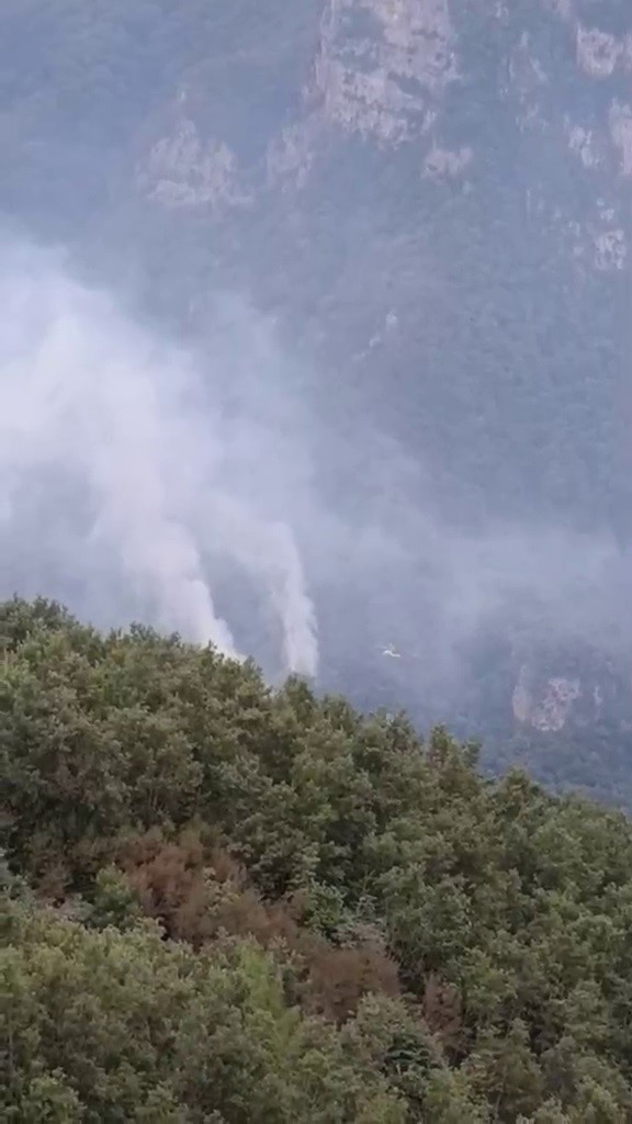hatay-daki-orman-yangininin-enerjisi-dusuruldu