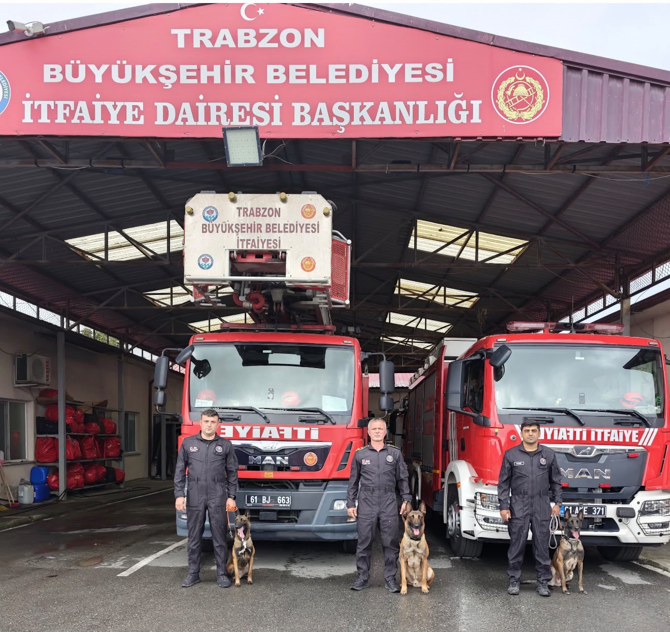 arama-kurtarma-kopeklerinin-egitim-ussu-trabzon-oldu
