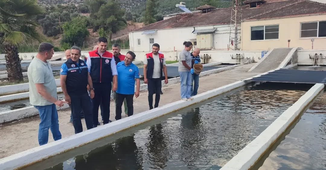 bozdogan-da-su-urunleri-uretimi-3-bin-696-tona-ulasti
