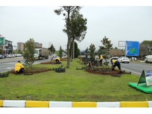 Aydın Caddeleri Dört Mevsim Rengarenk