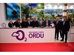 Çambaşı Yaylası Emitt’te Tanıtılıyor