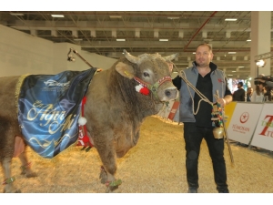 ‘Ağır Abiler’ İzmir Tarım Fuarına Geliyor