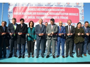 Bakan Pakdemirli: "Pet Shoplarda Bundan Sonra Kedi Köpek Satılmayacak"