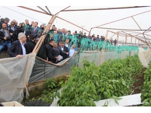 Bakan Pakdemirli: "Antalya’da Bin 380 Hasar Dosyası Sonuçlandırılarak 30 Milyon Tl Tazminat Ödemesi Yapılmıştır"