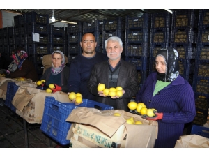 80 Kuruşluk Narenciye Tezgahta 4 Misli Fiyattan Satılıyor