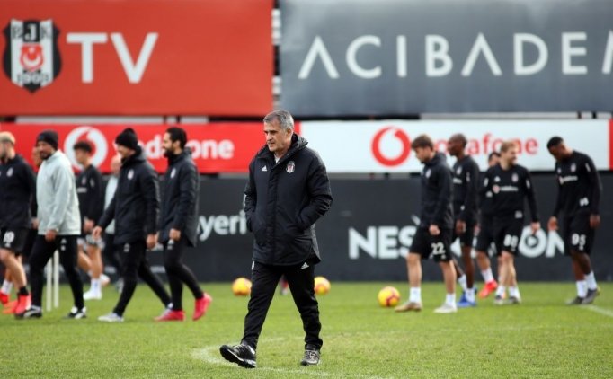 Beşiktaş'ta Yeni Transferler, Antalya Kadrosunda