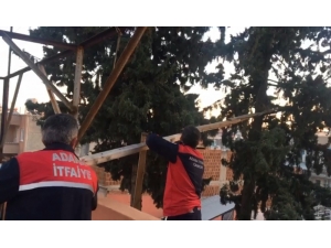 İki Gündür Ağaçta Mahsur Kalan Kediyi İtfaiye Kurtardı