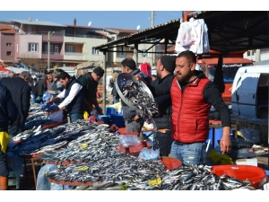 Karadeniz Hamsisine Yoğun İlgi