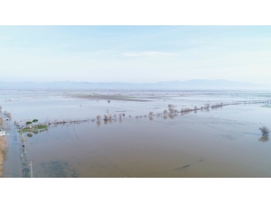 Aydın’da 100 Bin Dönüm Tarım Arazisi Sular Altında