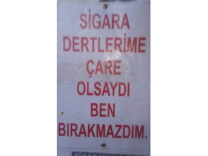 Sigarayı Bırakmasının 13. Yılını Pasta İle Kutladı