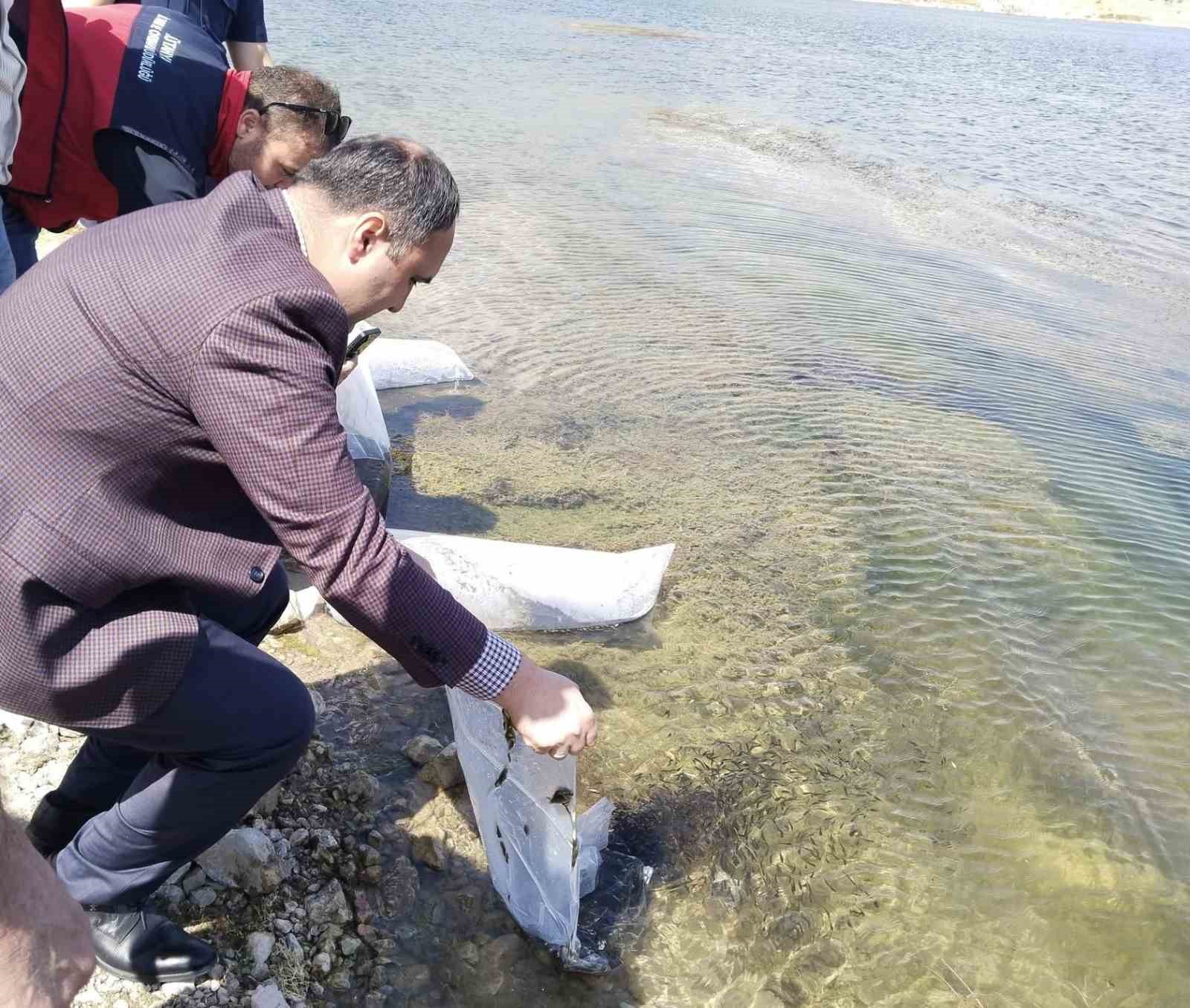 aslanapa-kureysler-goleti-ne-140-bin-sazan-yavrusu-birakildi