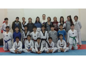 Siirtli Taekwondocuların Tek Hedefi Ay-yıldızlı Bayrağı Göndere Çekmek