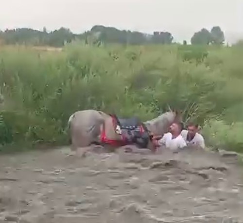 cirit-takimi-sele-kapilmaktan-son-anda-kurtuldu
