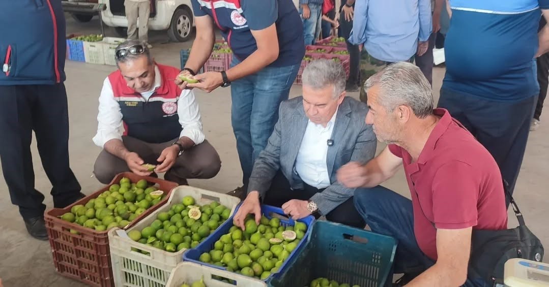 buharkent-te-ilekler-tezgahta-incelendi