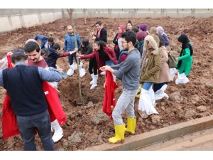 Cizre Kızılay Şubesi Şenlendirme Projelerine Devam Ediyor