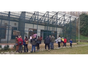 Cephanelik Mesire Alanına Vatandaşlardan Yoğun İlgi