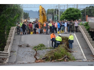 Ordu’ya 6 Milyonluk ’Sel Afeti’ Ödeneği