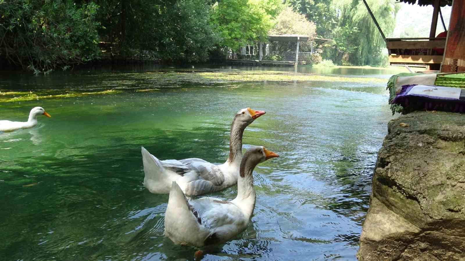 akyaka-yi-aratmayan-bucak-vadisi-dogaseverlerin-gozdesi