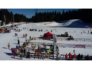 Ağrılı Sporcular Bolu’da 15 Madalya Kazandı