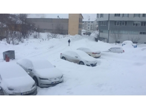 Karlıova Yine Güne Karla Uyandı