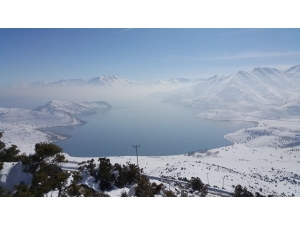 Van’da Yaban Hayvanlarına Yem Desteği