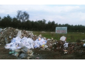 Çevreyi Kirleten Hafriyat Ve Molozlar Temizlendi