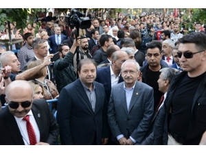 Chp Maltepe’de Ali Kılıç İle Yola Devam Edecek