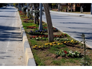 Birecik Peyzaj Çalışmaları Göz Kamaştırıyor