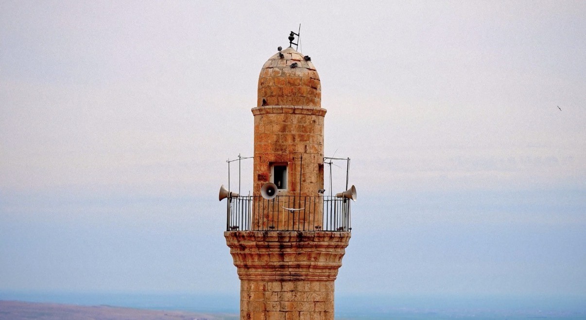 mardin-turkusunu-isitme-engelliler-icin-isaret-diliyle-soylediler