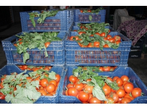 Komisyoncular: "Fiyatları Biz Yükseltmiyoruz"