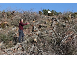 Köylülerin Taş Ocağı İsyanı: "Atalarımıza Sahip Çıktık, Kendi Toprağımıza Sahip Çıkamadık"
