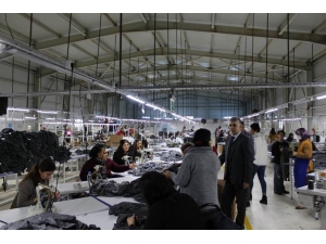 Tunceli’de 50 Kişi Daha İstihdam Edilecek