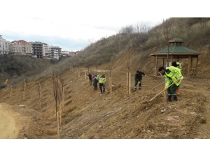 Tatlıkuyu Vadisi 2. Etabında Çalışmalar Sürüyor