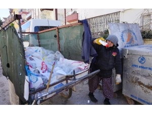 70 Yaşındaki Yaşlı Kadının 25 Yıllık Çöp Mesaisi