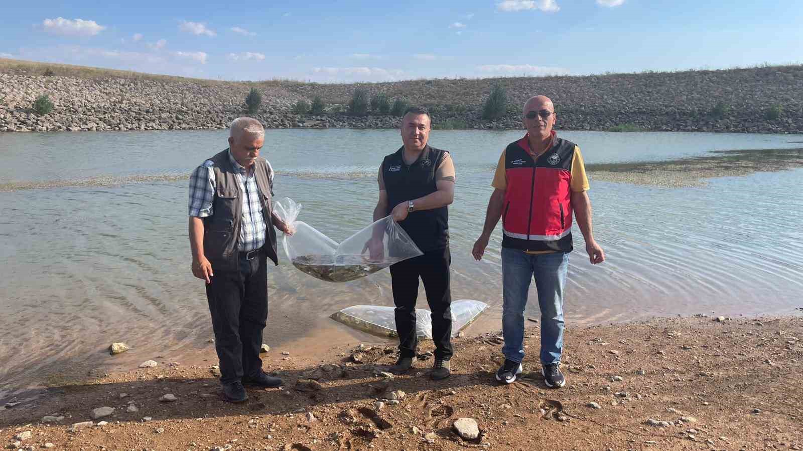 beysehir-ve-huyuk-un-goletlerine-balik-birakildi