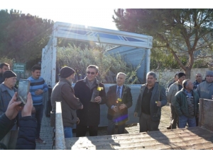 Kuşadası’nda 8 Bin 600 Zeytin Fidanı Dağıtıldı