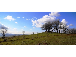 Lice Belediyesi, Mezarlıkların Etrafını Tel Örgüyle Kapattı