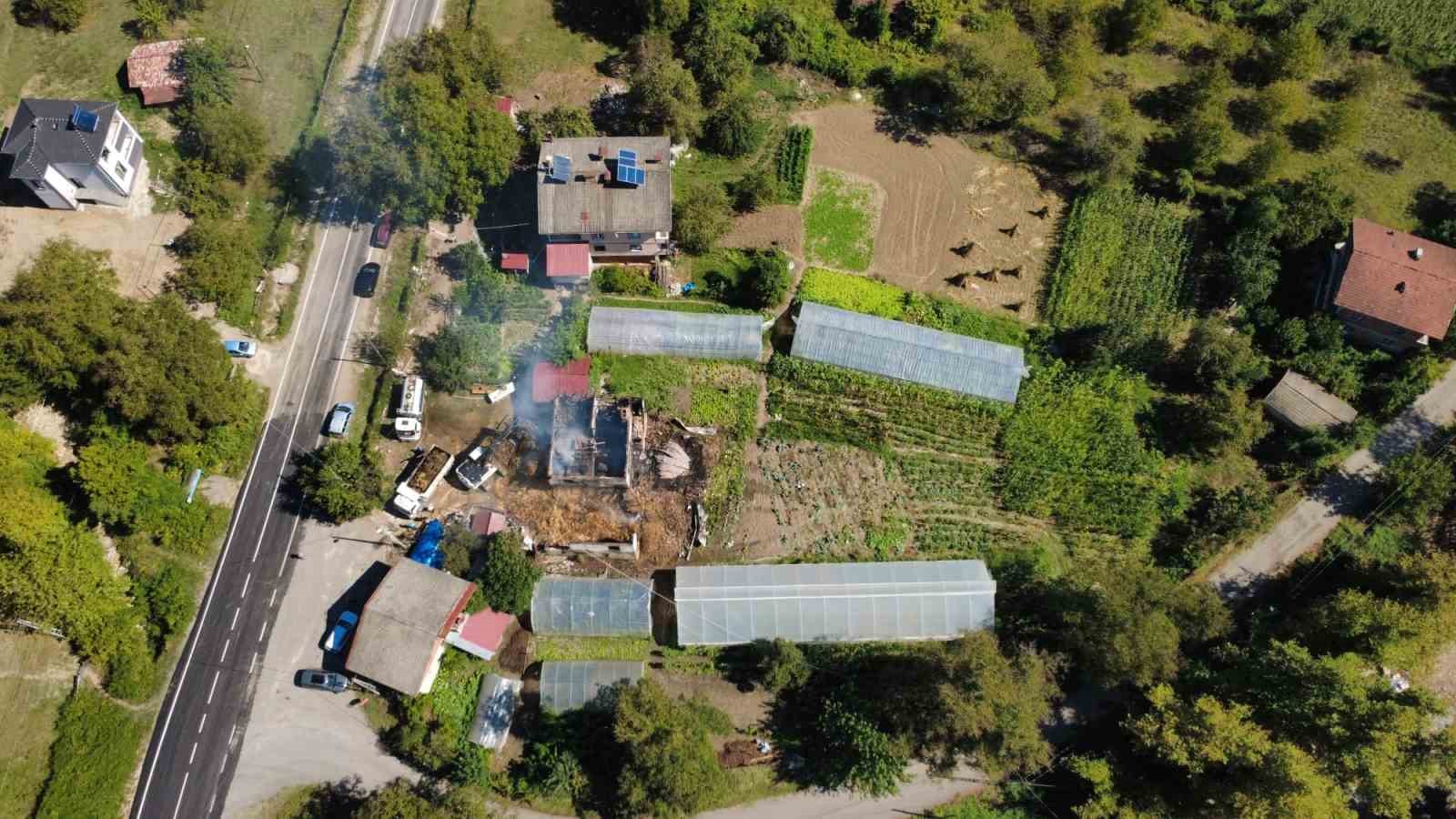 bartin-da-ahirda-cikan-yanginda-9-buyukbas-telef-oldu
