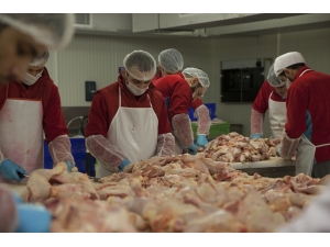 Paşa Döner’e Yatırım İçin Orta Doğu, Çin Ve Avrupa’dan Yoğun İlgi