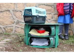 Sokakta Yaşayan Kedilere Sıcak Yuva