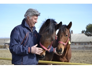 Hem Dost Hem Şifa Kaynağı