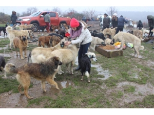 Gençler 200 Bin Saatlik Gönüllülük Hizmeti Yapacak
