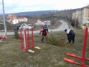 Simav’da Park Alanları Ağaçlandırılıyor