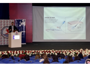 Gelecek Nörobilimde