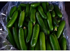 Fiyatlar Tanzimde Düşüyor, Halde Artıyor