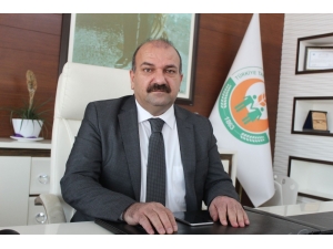 Antalya’dan Tanzim Satışa 4 Günde Bin 400 Ton Sebze